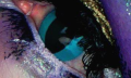cheshire cat.png