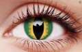 green dragon1.png