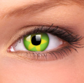 green flower1.png