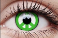 green peace12.png