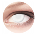 blind white.png