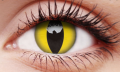 cateye1.png