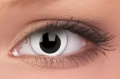 cross eye1.png