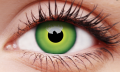 HULK GREEN1.png