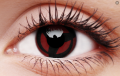 kakashi1.png