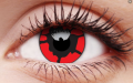 nightcrawler1.png
