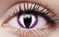 purple dragon1.png