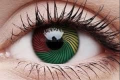 rasta1.png