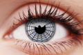 SPIDER1.png