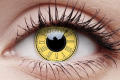 timekeeper1.png
