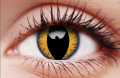 wolf moon1.png
