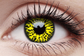 yellow eclipse1.png