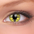 yellow flower1.png