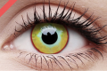 yellow plague1.png