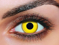 yellow.png